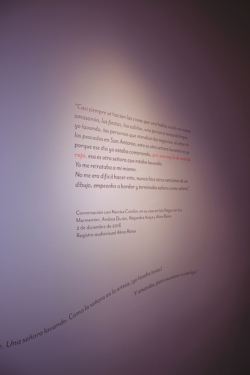 Bordar el Desborde "Muro con uno de los textos curatoriales de Alejandra Araya y Andrea Durán para la exposición Bordar el Desborde en el MNBA