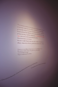 Bordar el Desborde bed 7