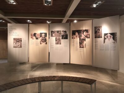 El Bordado Colectivo bc baburizza 2